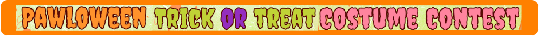 Halloween Pet Pictures